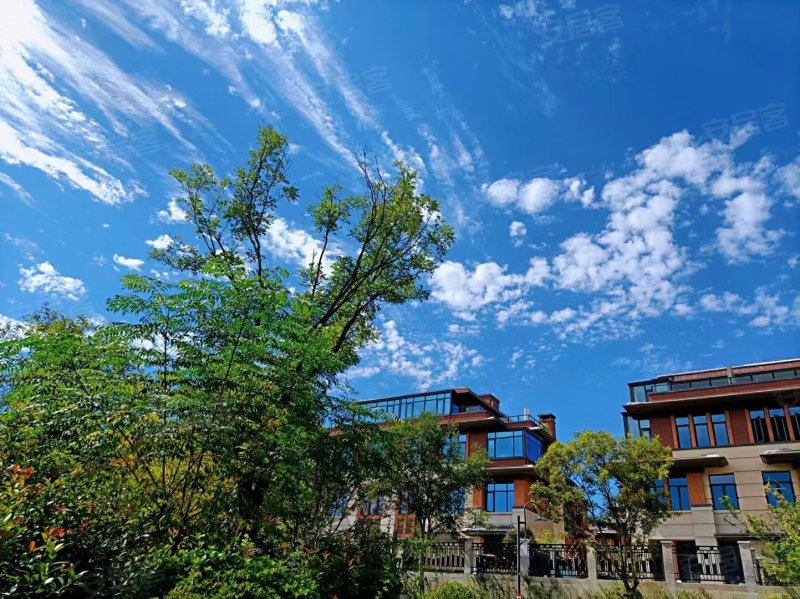 碧桂园万山湖壹号(别墅)