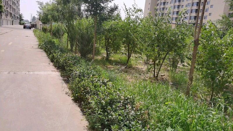 牧马庄园,京广线-衡水牧马庄园二手房,租房,房价-衡水安居客