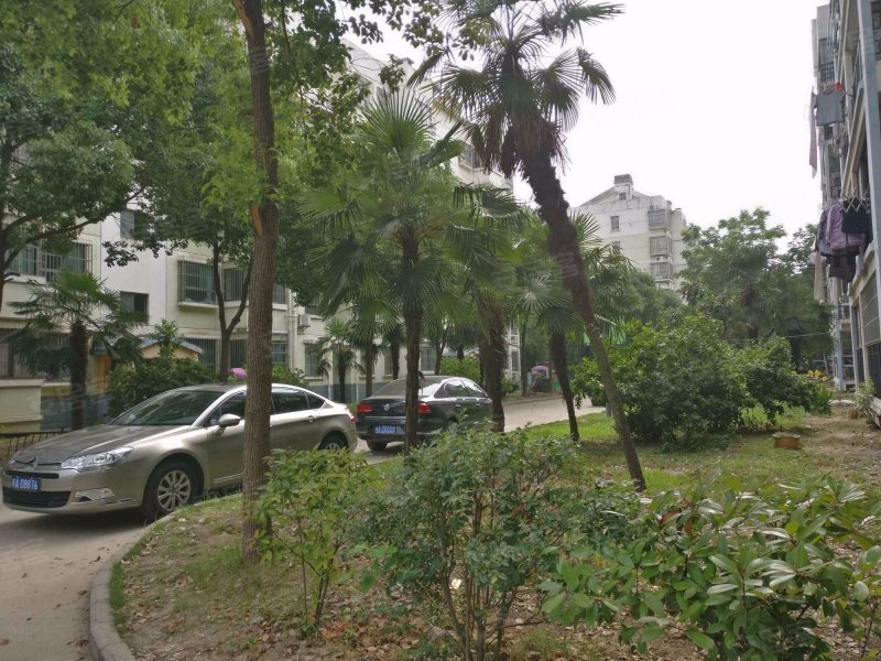 翠竹园b区,清溪路31号-合肥翠竹园b区二手房,租房,房价-合肥安居客