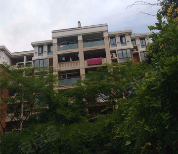 南肖埠小区图片