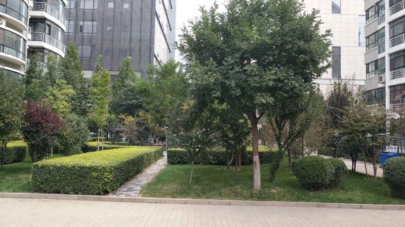阳光地带,长治路99号