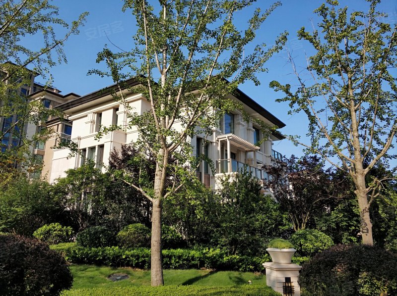 海信天悦(别墅),东海东路5号-青岛海信天悦(别墅)二手房,租房,房价