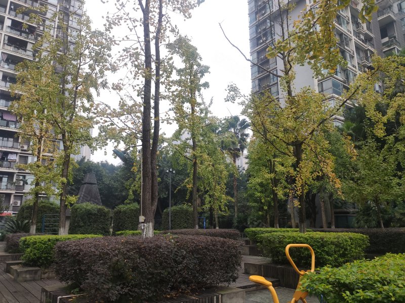 星月湾,大黄路168号-重庆星月湾二手房,租房,房价-重庆安居客