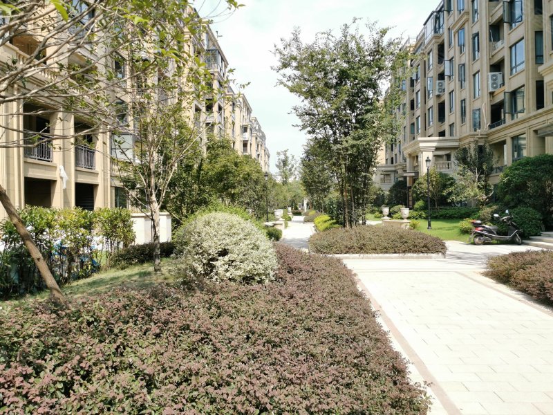 中梁首府,凯胜路-衢州中梁首府二手房,租房,房价-衢州安居客