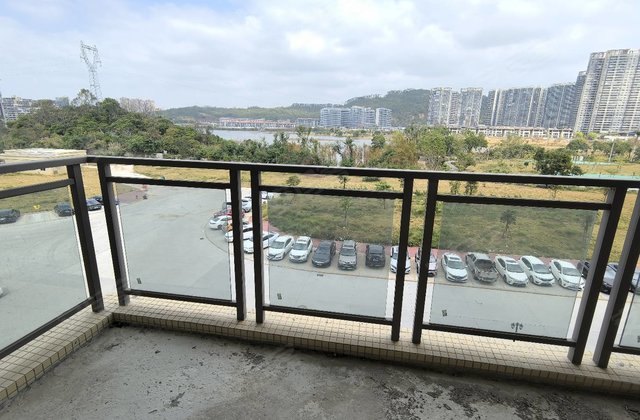 粤沛森林湖4室2厅198㎡119万二手房图片