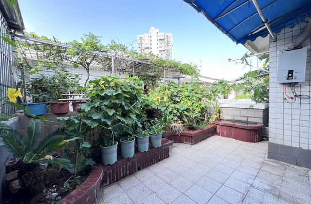 万园小区4室2厅186㎡39.8万二手房图片