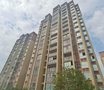 一品江山