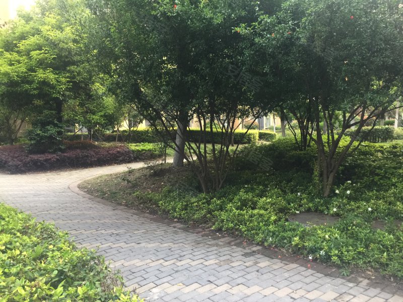 楚荣首府,兴隆大道152号-荆门楚荣首府二手房,租房,房价-荆门安居客