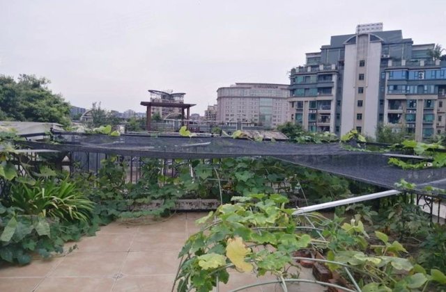 成都房产网>成都小区>武侯小区>桐梓林小区>中海名城(别墅)>