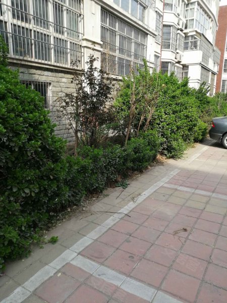 凤凰苑小区(南区)