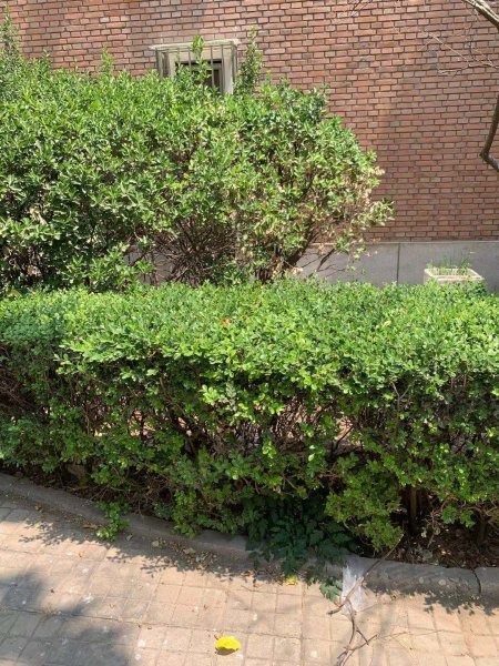 天华园二里一区