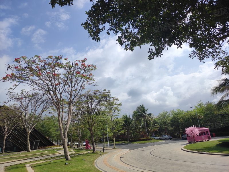 崖州湾顺达花园,225国道-三亚崖州湾顺达花园二手房,租房,房价-三亚