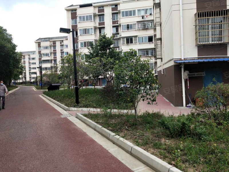 阳山花苑六区,建林路802号-苏州阳山花苑六区二手房,租房,房价-苏州