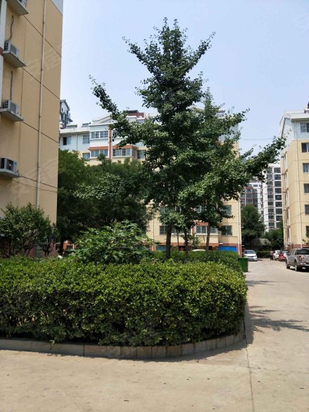 润景园,皇营路-济宁润景园二手房,租房,房价-济宁安居客