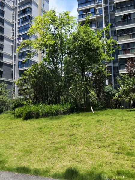 怡景华庭,五通路-武汉怡景华庭二手房,租房,房价-武汉安居客