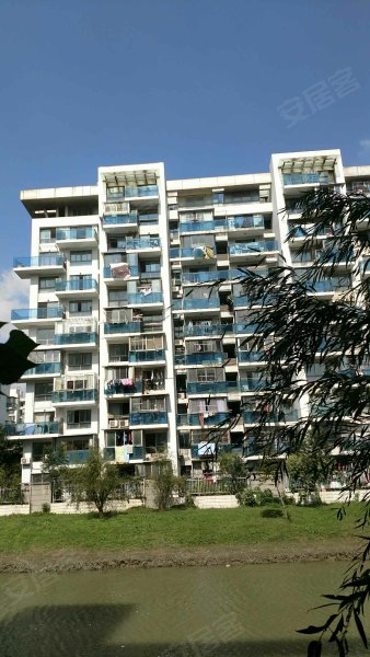 银河新都(中区) 