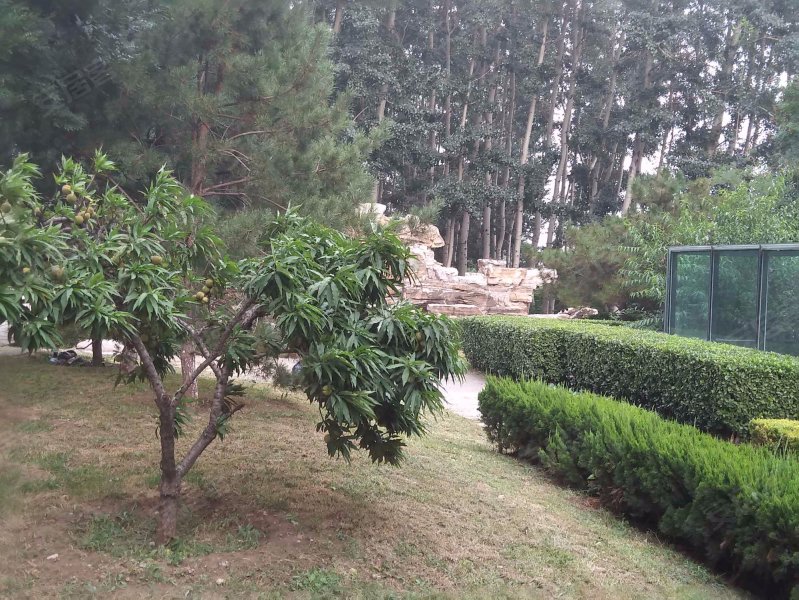 远洋一方林语苑