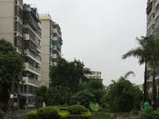 金林花园3房2厅2卫9617平售358万