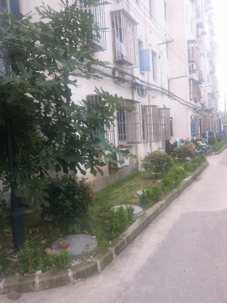 高科西路3060弄小区 