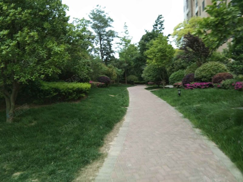 红豆国际商务城,红豆路1号-淮安红豆国际商务城二手房,租房,房价-淮安