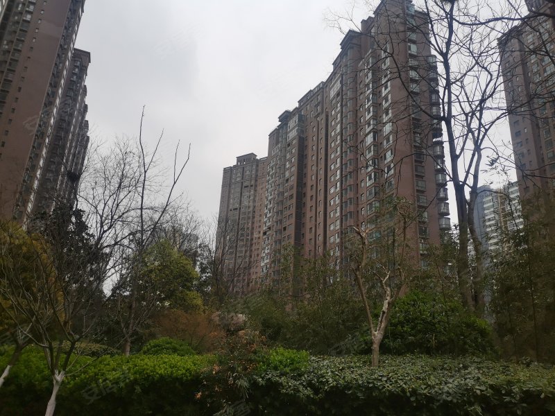 银基王朝(四期)