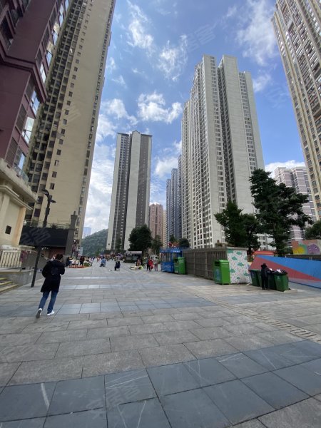 花果园半山小镇w2区