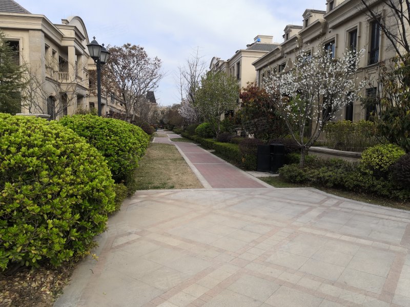 白鹭金岸(别墅)