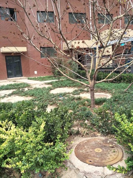 留村(南区),湘江道-石家庄留村(南区)二手房,租房,房价-石家庄安居客