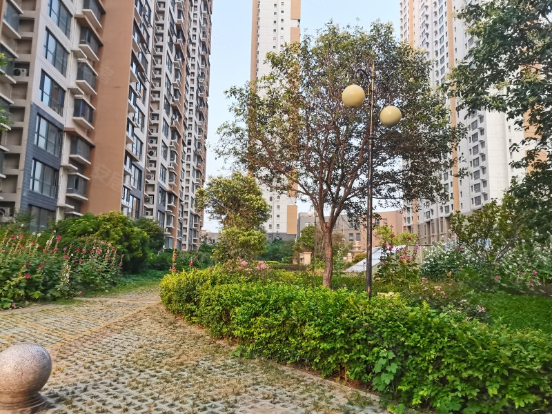 鑫源国际城,东滩路1789号-济宁鑫源国际城二手房,租房,房价-济宁安居