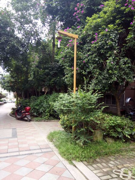 东方丽景(邛崃市),长安大道468号-成都东方丽景(邛崃市)二手房,租房