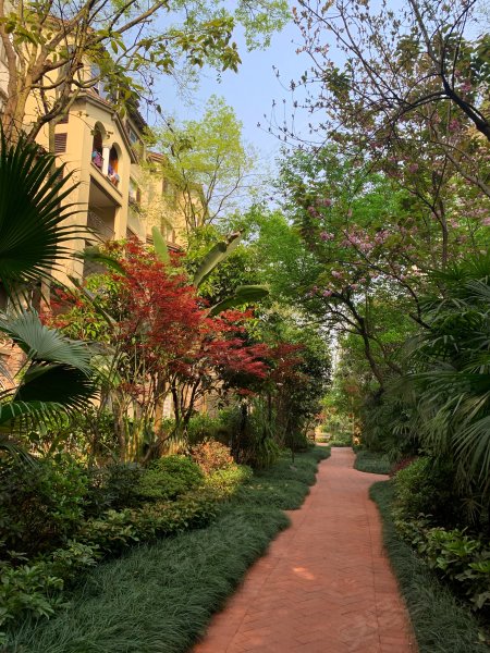 龙湖花千树(一期)