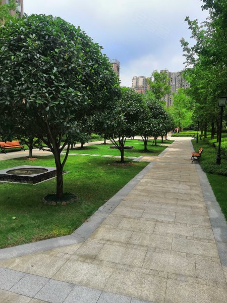 阳光白鹭洲,文正街-南充阳光白鹭洲二手房,租房,房价-南充安居客