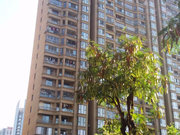 万宝小区图片