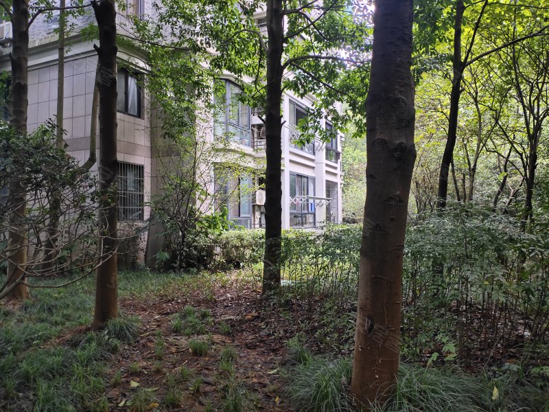 赞成荆山翠谷(公寓住宅)