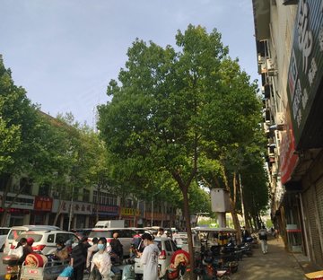 易发五洲大厦