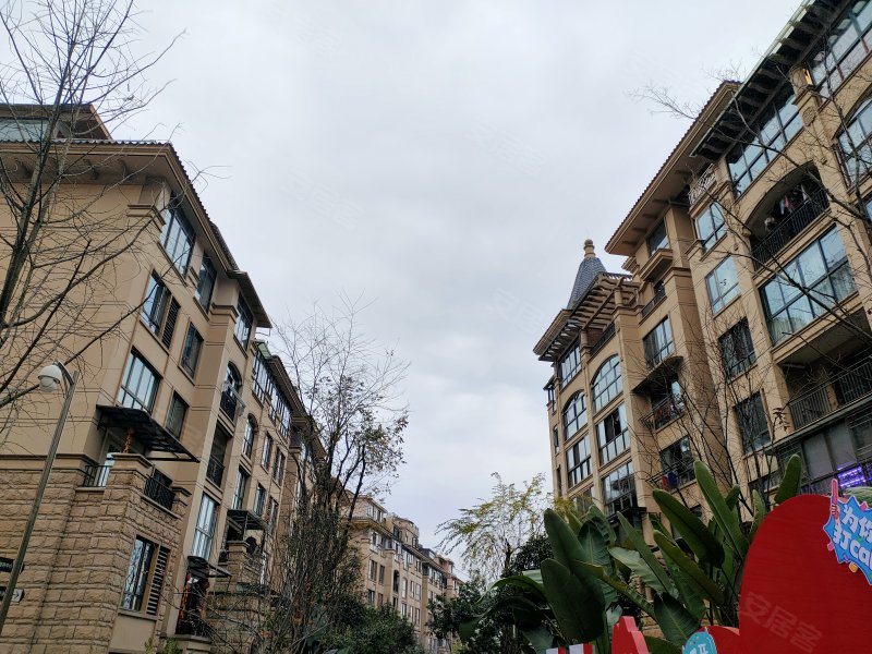 金科公园王府,大千路,近玉屏街-内江金科公园王府二手房,租房,房价