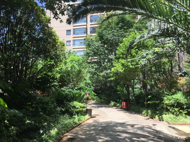 版筑翠园,虹山东路4号-达州版筑翠园二手房,租房,房价-达州安居客