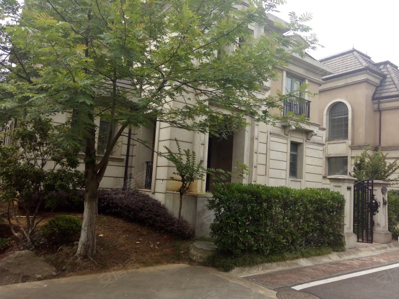中建汤逊湖壹号(别墅)