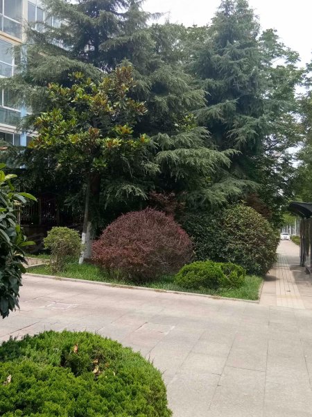 澳门花园(崂山),海安路7号-青岛澳门花园(崂山)二手房,租房,房价-青岛