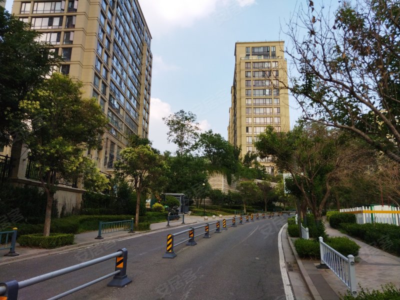 海尔绿城锦兰园北区,百合东路-济南海尔绿城锦兰园北区二手房,租房