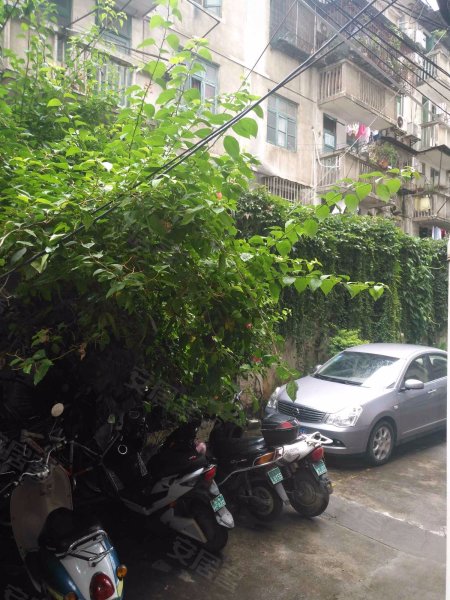 明秀公寓(西乡塘)