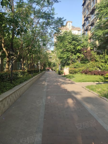 绿苑香山美树,酒城大道二段8号-泸州绿苑香山美树二手房,租房,房价