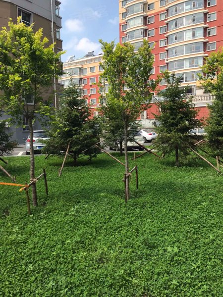 丽江花园,繁荣路-长春丽江花园二手房,租房,房价-长春安居客