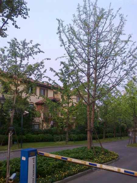 龙湖蓝湖郡西岸五组团