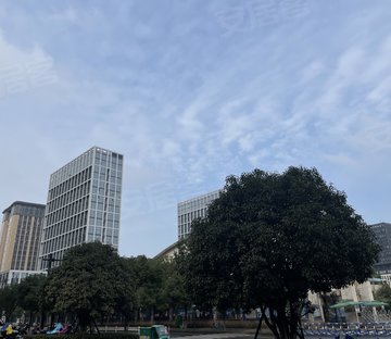 金地大运河府