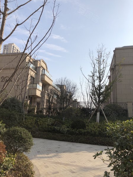 大江东宝龙广场(别墅)