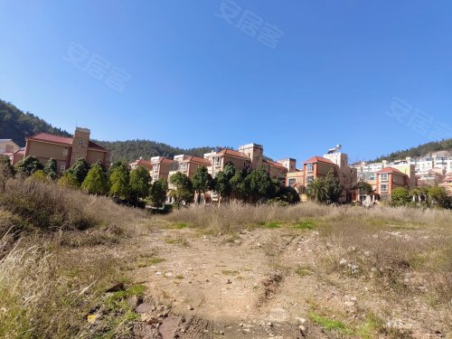 龙凤庄园