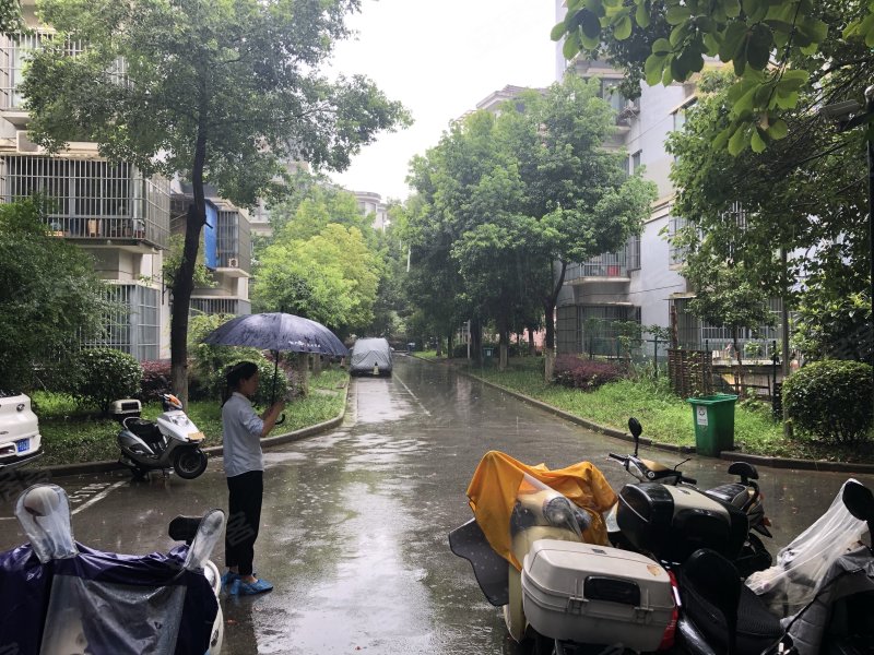 都宝花园,花津南路31号-芜湖都宝花园二手房,租房,房价-芜湖安居客