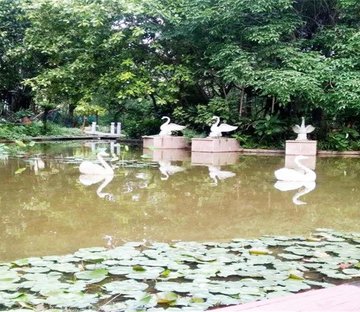 范屋村43号小区