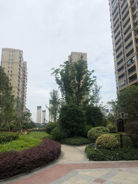 华鸿中央城,长深高速-丽水华鸿中央城二手房,租房,房价-丽水安居客